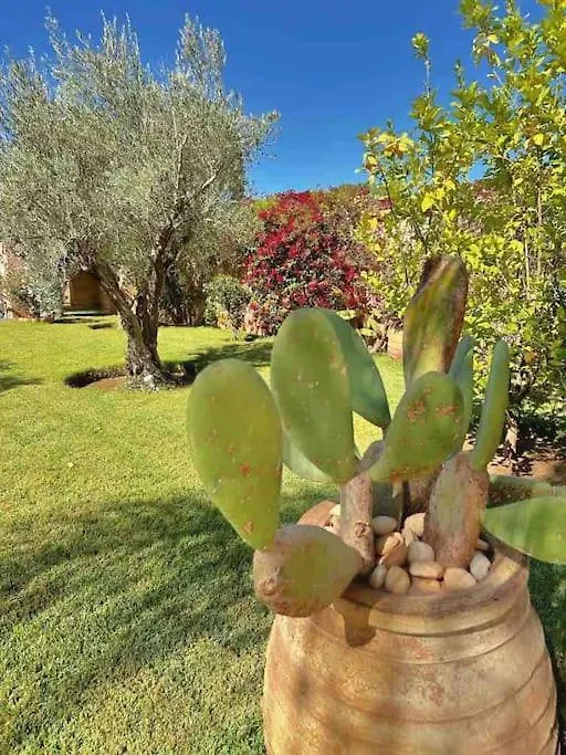 מרקש Villa-Riad Nejma וילה