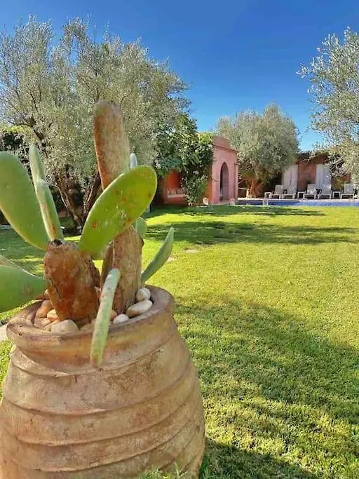 מרקש Villa-Riad Nejma מרוקו